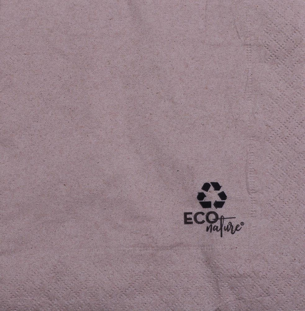 Serviette 2 plis ECO NATURE 